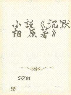 小说《沉默的真相 原著》