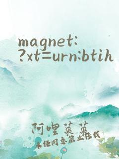 magnet:?xt=urn:btih 合集