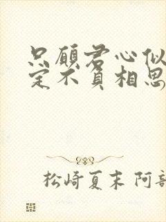 只愿君心似我心定不负相思意含义