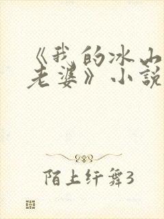 《我的冰山总裁老婆》小说