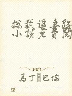 总裁追妻路漫漫小说免费阅读全文