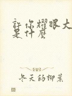 许你耀眼大结局是什么