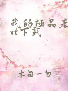 我的极品老婆txt下载