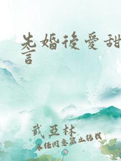 先婚后爱甜宠现言