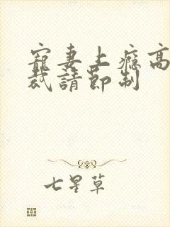 宠妻上瘾高冷总裁请节制