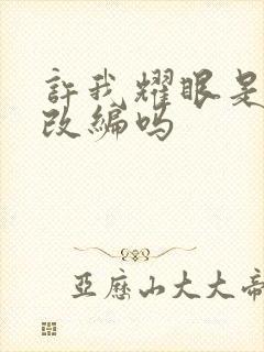 许我耀眼是小说改编吗