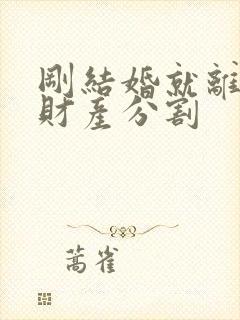 刚结婚就离婚后财产分割