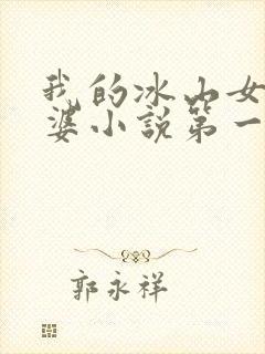 我的冰山女神老婆小说第一部