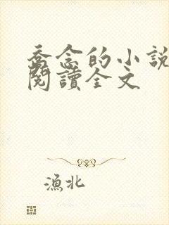 乔念的小说免费阅读全文