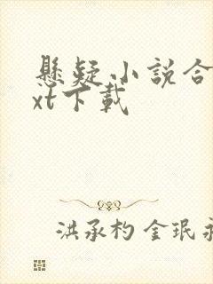 悬疑小说合集txt下载