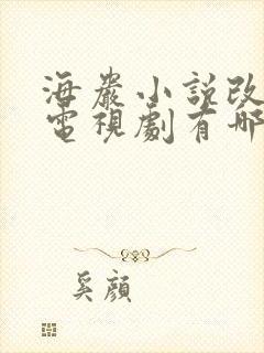 海岩小说改编的电视剧有哪些