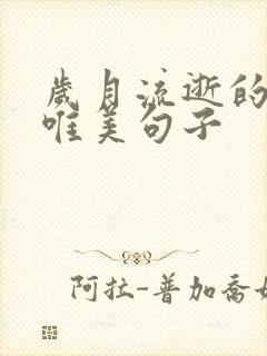 岁月流逝的生日唯美句子