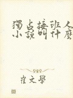 独占接班人原著小说叫什么名字