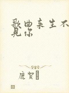 歌曲来生不再遇见你