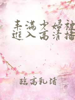 丰满少妇被猛烈进入高清播放欧美