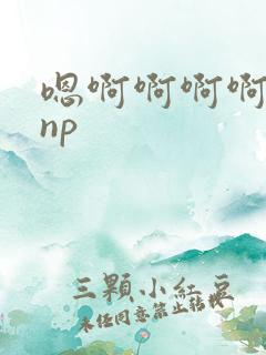 嗯啊啊啊啊不要np