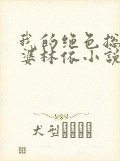 我的绝色总裁老婆林依小说