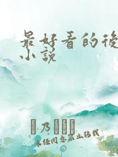 最好看的后宫文小说