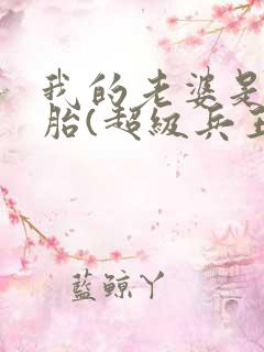 我的老婆是双胞胎(超级兵王在都市)