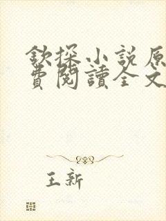 钦探小说原著免费阅读全文