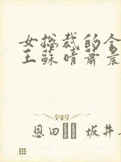 女总裁的全能兵王苏晴萧晨