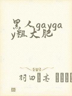 黑人gaygay粗大肥
