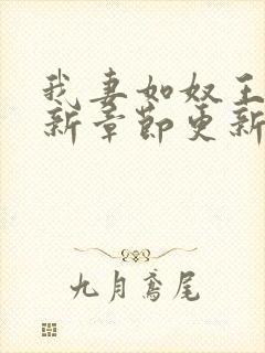 我妻如奴王琳最新章节更新