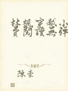 林枫穿越小说免费阅读无弹窗