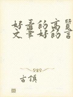 好看的高质量的文笔好的言情