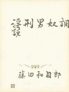 淫刑男奴调教小说