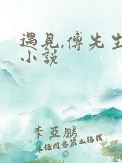 遇见,傅先生的小说