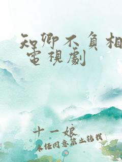 知卿不负相思意 电视剧