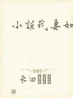 小说我妻如奴