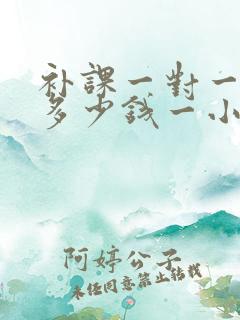 补课一对一上门多少钱一小时