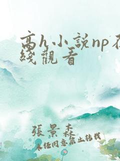 高h小说np在线观看
