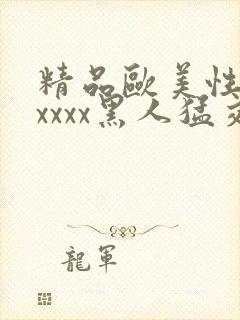 精品欧美性猛交xxxx黑人猛交