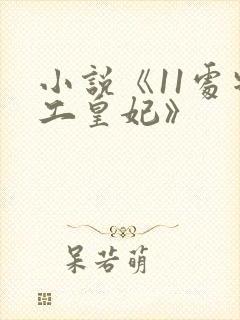 小说《11处特工皇妃》