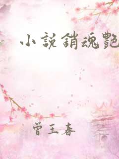 小说销魂艳婢