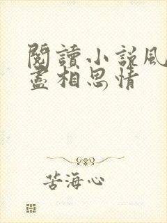 阅读小说风雪无尽相思情