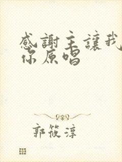 感谢主让我遇见你原唱