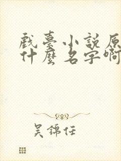 戏台小说原著叫什么名字啊