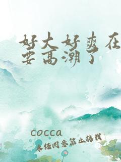 好大好爽在快点要高潮了