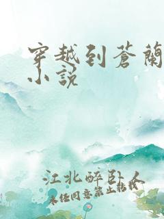 穿越到苍兰诀的小说