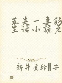 五夫一妻的幸福生活小说免费阅读全文