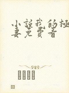 小说我的极品娇妻免费看