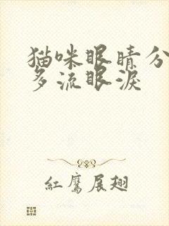 猫咪眼睛分泌物多流眼泪