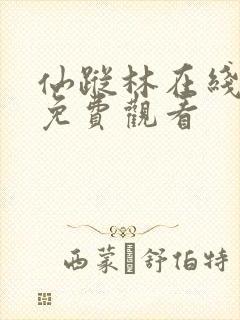 仙踪林在线视频免费观看