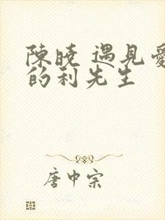 陈晓 遇见爱情的利先生