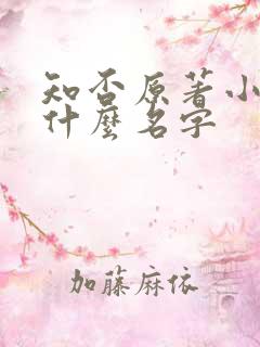 知否原著小说叫什么名字