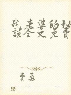 我老婆的秘密小说全文免费阅读